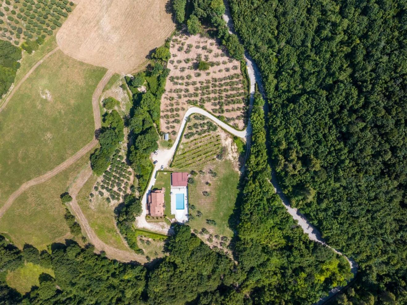 Agriturismo Isola Verde Sant'Urbano Exterior photo
