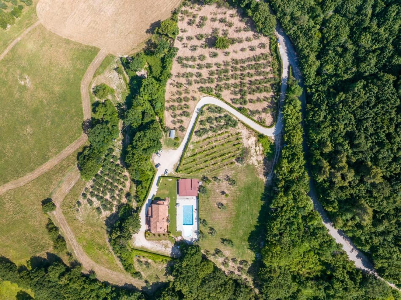 Agriturismo Isola Verde Sant'Urbano Exterior photo